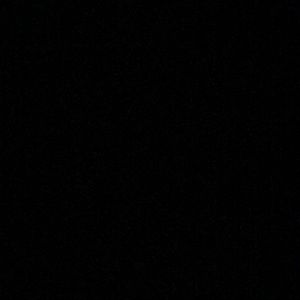 Meet your Posher, Leyla